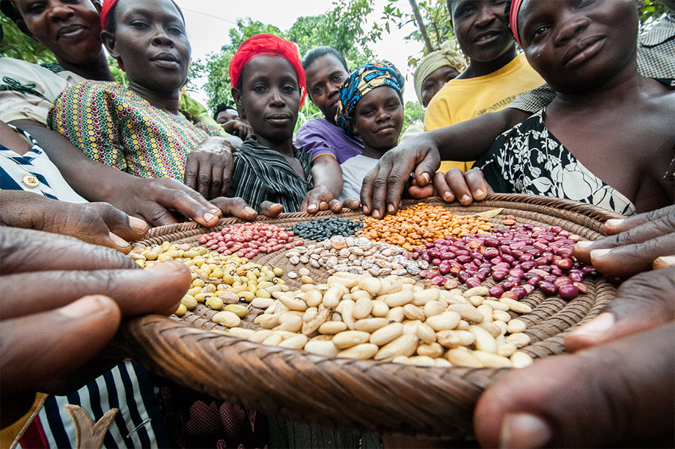 Ugandan people standing around a wicker plate holding multiple types of beans