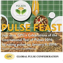 pulsefeast twitter image